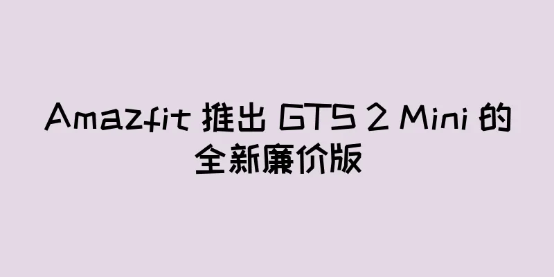 Amazfit 推出 GTS 2 Mini 的全新廉价版