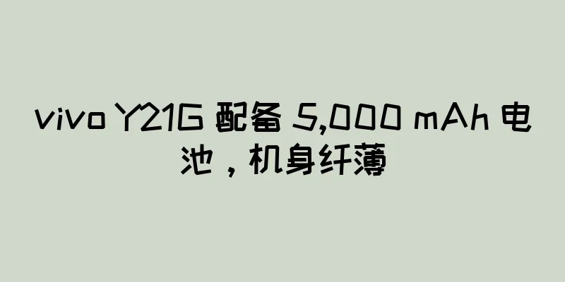 vivo Y21G 配备 5,000 mAh 电池，机身纤薄