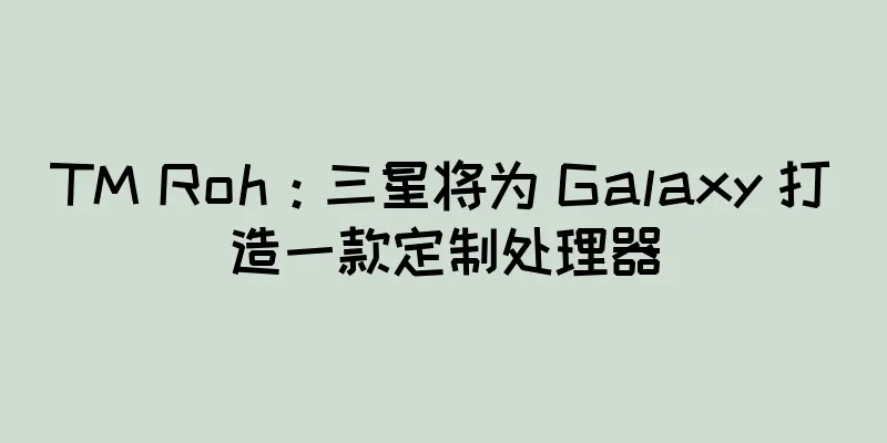 TM Roh：三星将为 Galaxy 打造一款定制处理器