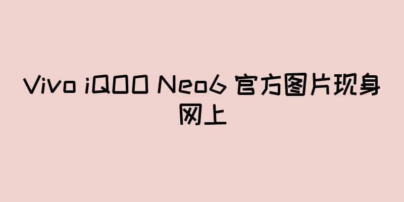 Vivo iQOO Neo6 官方图片现身网上