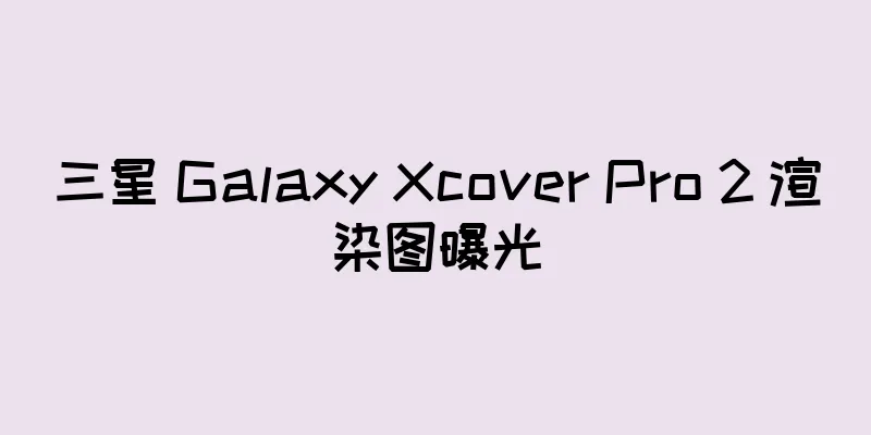 三星 Galaxy Xcover Pro 2 渲染图曝光
