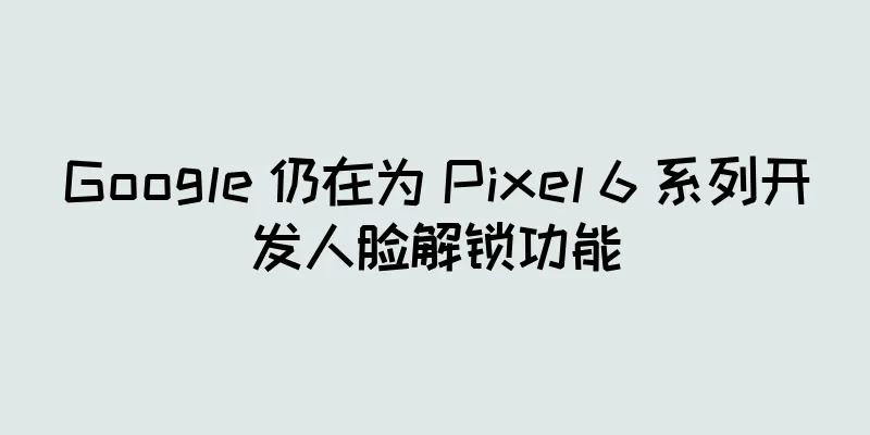 Google 仍在为 Pixel 6 系列开发人脸解锁功能