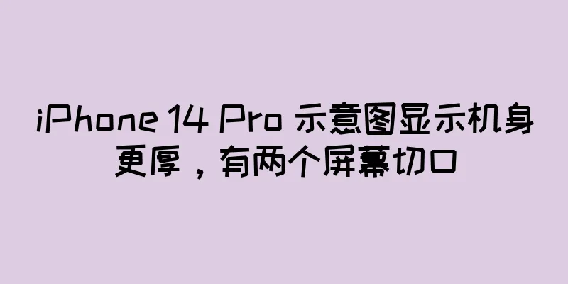 iPhone 14 Pro 示意图显示机身更厚，有两个屏幕切口