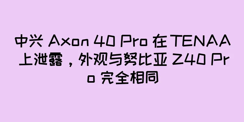 中兴 Axon 40 Pro 在 TENAA 上泄露，外观与努比亚 Z40 Pro 完全相同