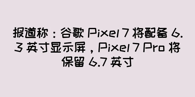 报道称：谷歌 Pixel 7 将配备 6.3 英寸显示屏，Pixel 7 Pro 将保留 6.7 英寸