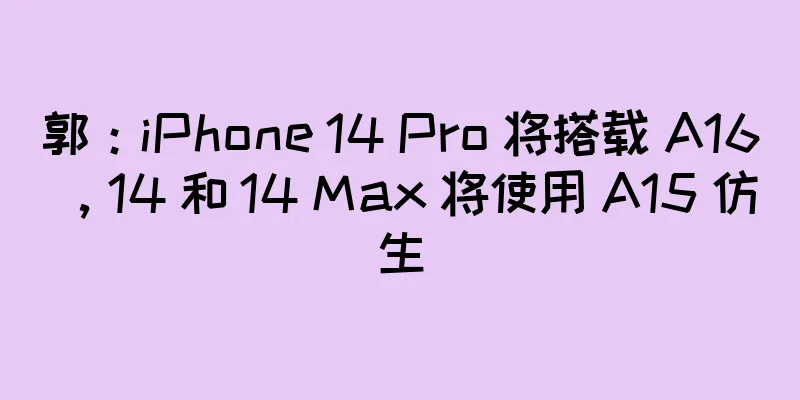 郭：iPhone 14 Pro 将搭载 A16，14 和 14 Max 将使用 A15 仿生