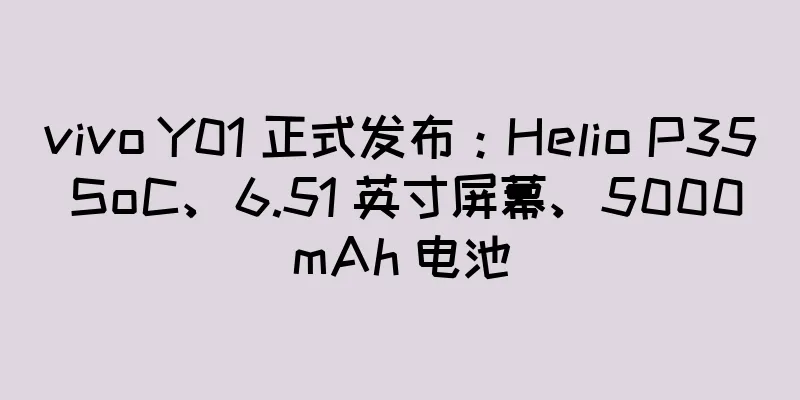 vivo Y01 正式发布：Helio P35 SoC、6.51 英寸屏幕、5000mAh 电池