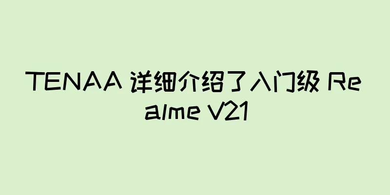 TENAA 详细介绍了入门级 Realme V21