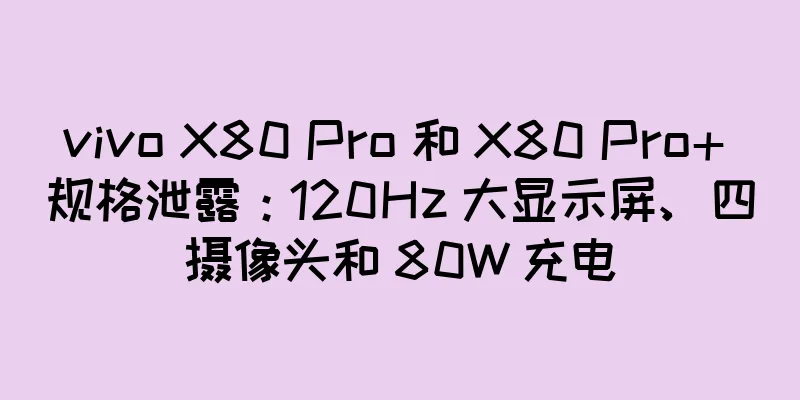 vivo X80 Pro 和 X80 Pro+ 规格泄露：120Hz 大显示屏、四摄像头和 80W 充电