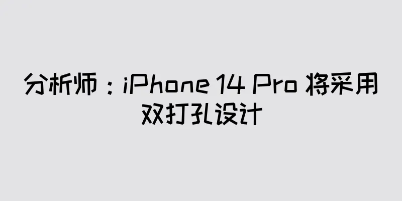 分析师：iPhone 14 Pro 将采用双打孔设计