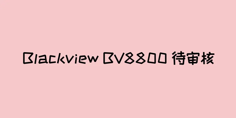 Blackview BV8800 待审核