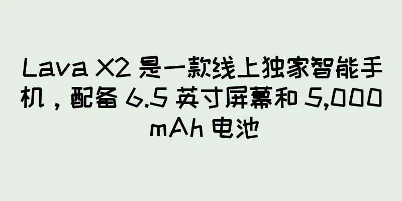 Lava X2 是一款线上独家智能手机，配备 6.5 英寸屏幕和 5,000 mAh 电池