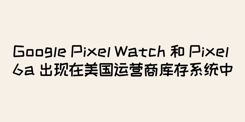 Google Pixel Watch 和 Pixel 6a 出现在美国运营商库存系统中
