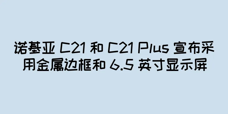 诺基亚 C21 和 C21 Plus 宣布采用金属边框和 6.5 英寸显示屏