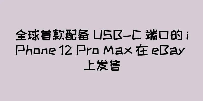 全球首款配备 USB-C 端口的 iPhone 12 Pro Max 在 eBay 上发售