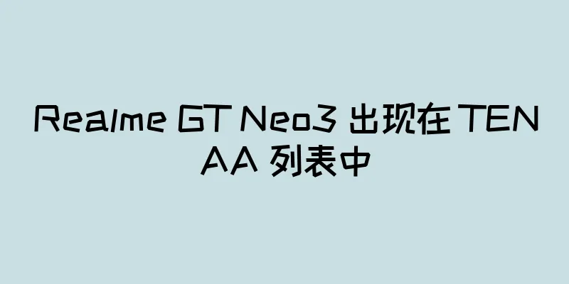 Realme GT Neo3 出现在 TENAA 列表中