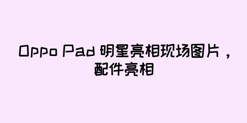 Oppo Pad 明星亮相现场图片，配件亮相
