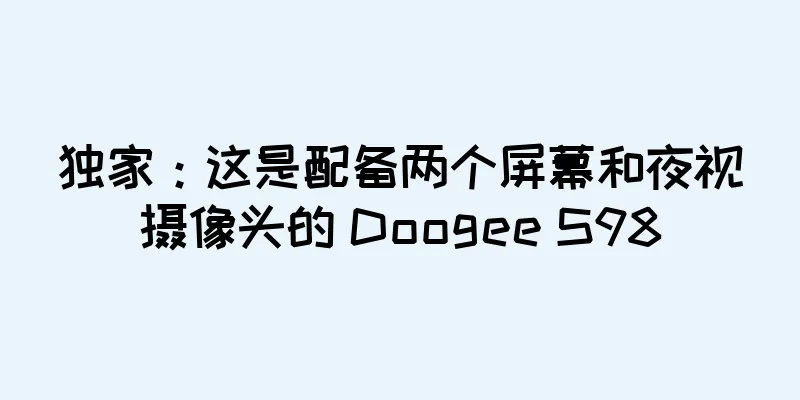 独家：这是配备两个屏幕和夜视摄像头的 Doogee S98