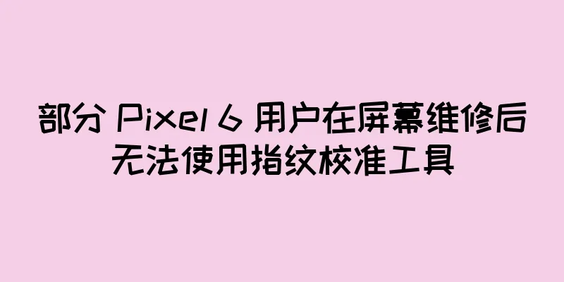 部分 Pixel 6 用户在屏幕维修后无法使用指纹校准工具