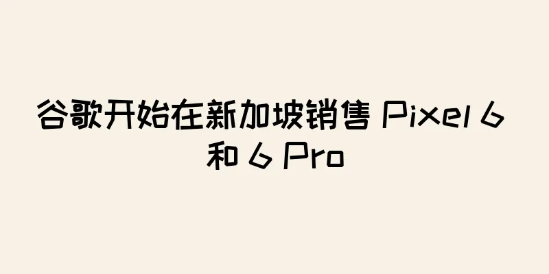谷歌开始在新加坡销售 Pixel 6 和 6 Pro