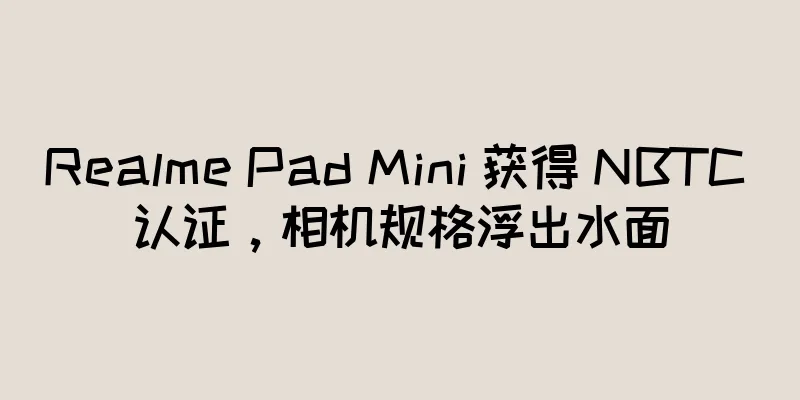Realme Pad Mini 获得 NBTC 认证，相机规格浮出水面