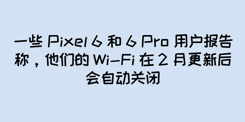 一些 Pixel 6 和 6 Pro 用户报告称，他们的 Wi-Fi 在 2 月更新后会自动关闭