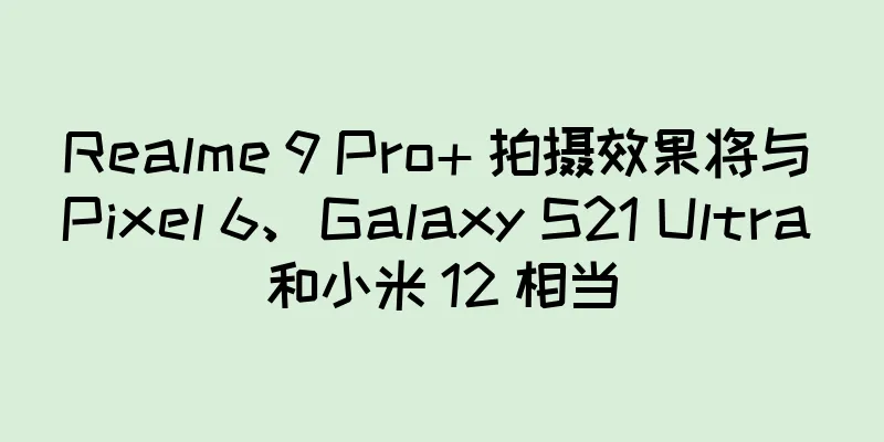 Realme 9 Pro+ 拍摄效果将与 Pixel 6、Galaxy S21 Ultra 和小米 12 相当