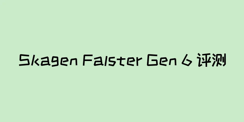 Skagen Falster Gen 6 评测