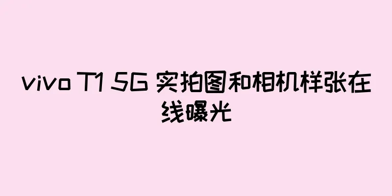 vivo T1 5G 实拍图和相机样张在线曝光