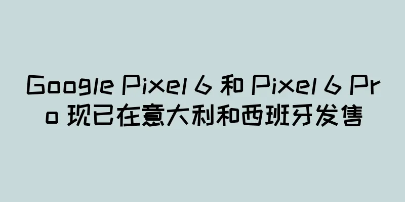 Google Pixel 6 和 Pixel 6 Pro 现已在意大利和西班牙发售