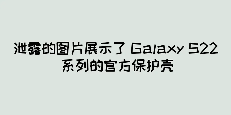 泄露的图片展示了 Galaxy S22 系列的官方保护壳