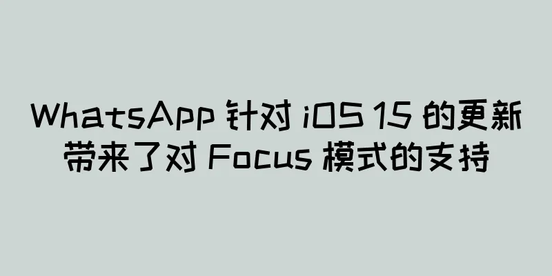 WhatsApp 针对 iOS 15 的更新带来了对 Focus 模式的支持