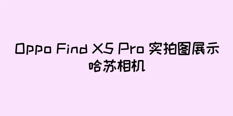 Oppo Find X5 Pro 实拍图展示哈苏相机