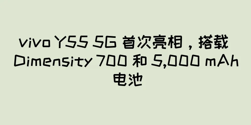 vivo Y55 5G 首次亮相，搭载 Dimensity 700 和 5,000 mAh 电池
