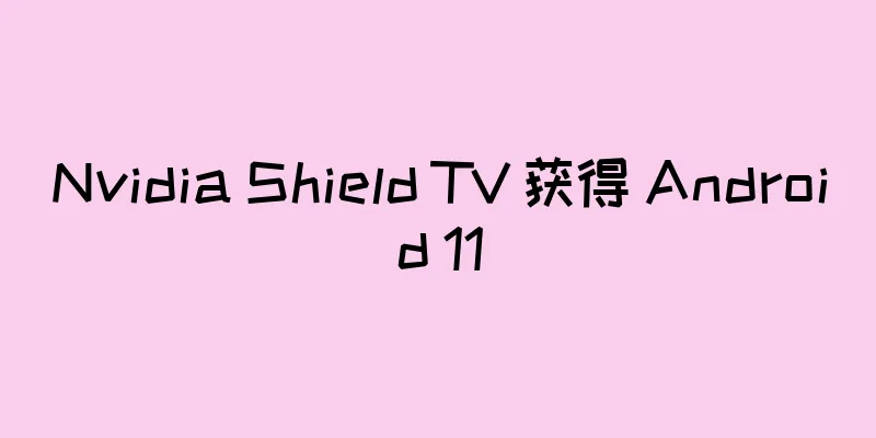 Nvidia Shield TV 获得 Android 11