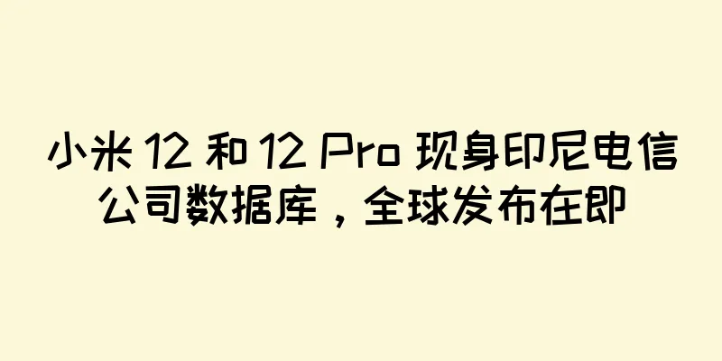 小米 12 和 12 Pro 现身印尼电信公司数据库，全球发布在即