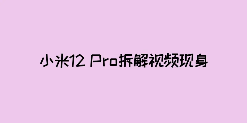 小米12 Pro拆解视频现身