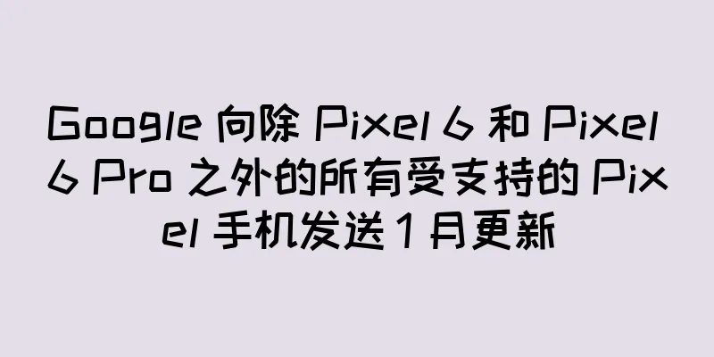 Google 向除 Pixel 6 和 Pixel 6 Pro 之外的所有受支持的 Pixel 手机发送 1 月更新