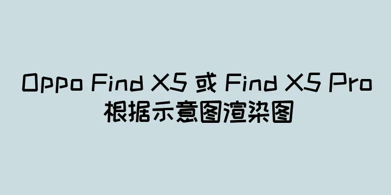Oppo Find X5 或 Find X5 Pro 根据示意图渲染图