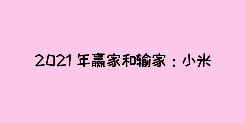 2021 年赢家和输家：小米