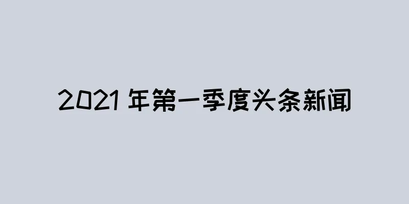 2021 年第一季度头条新闻