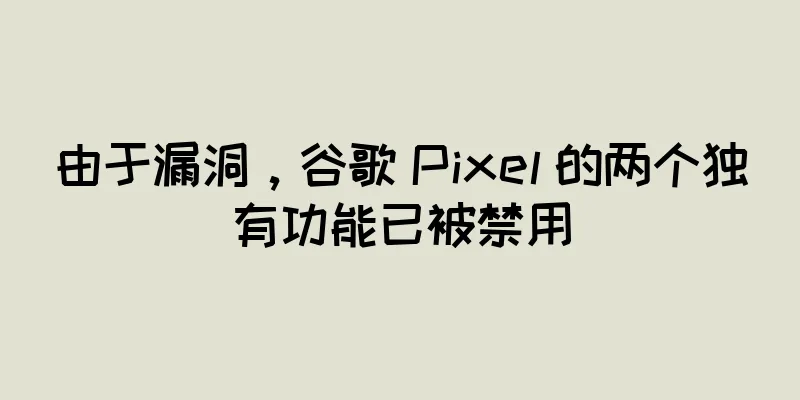 由于漏洞，谷歌 Pixel 的两个独有功能已被禁用