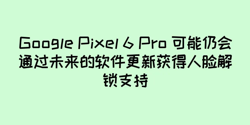 Google Pixel 6 Pro 可能仍会通过未来的软件更新获得人脸解锁支持