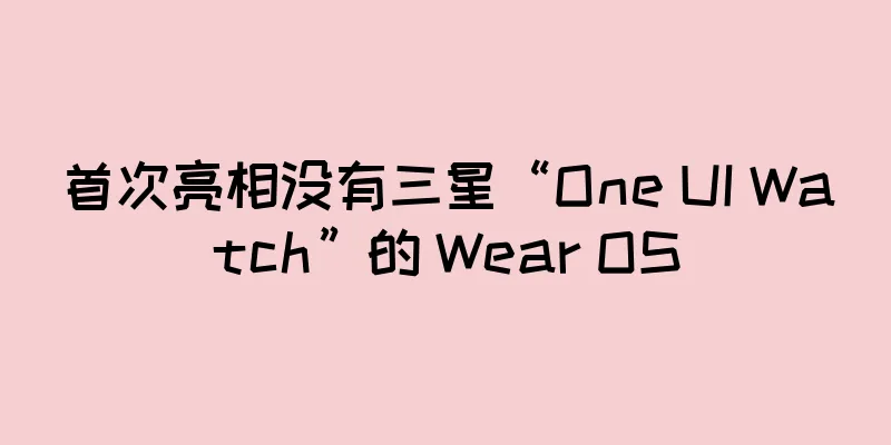 首次亮相没有三星“One UI Watch”的 Wear OS