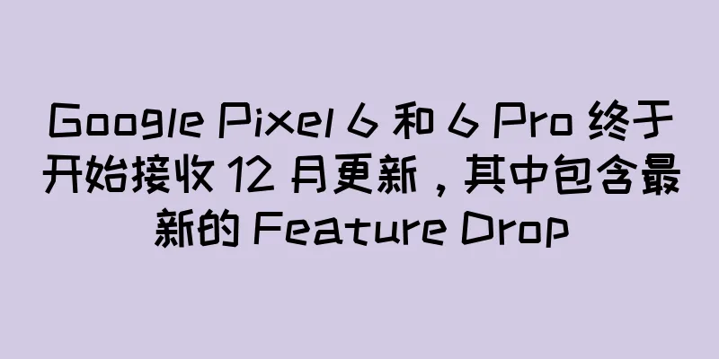 Google Pixel 6 和 6 Pro 终于开始接收 12 月更新，其中包含最新的 Feature Drop