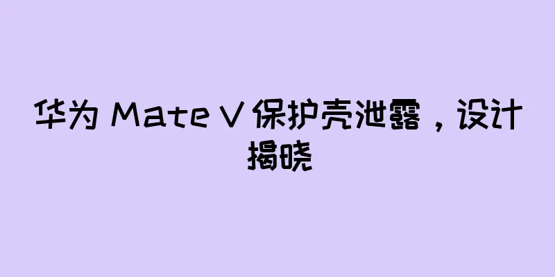 华为 Mate V 保护壳泄露，设计揭晓