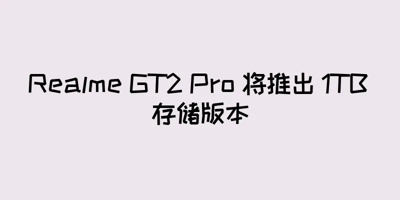 Realme GT2 Pro 将推出 1TB 存储版本