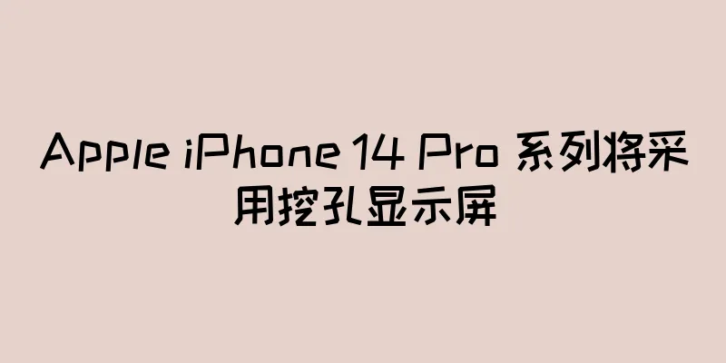 Apple iPhone 14 Pro 系列将采用挖孔显示屏