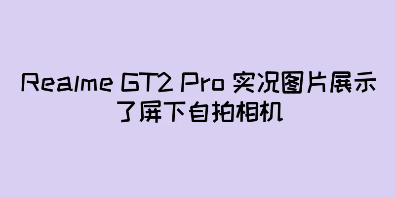 Realme GT2 Pro 实况图片展示了屏下自拍相机