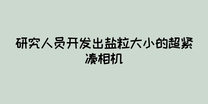 研究人员开发出盐粒大小的超紧凑相机